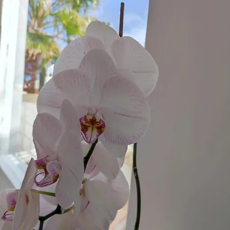 Adriano Σπίτι διακοπών *